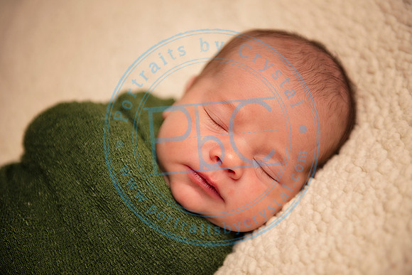David - Newborn_051719_0241