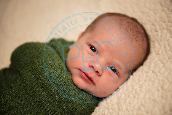 David - Newborn_051719_0242
