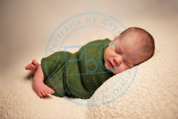 David - Newborn_051719_0248
