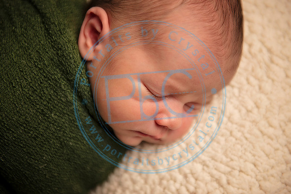 David - Newborn_051719_0264