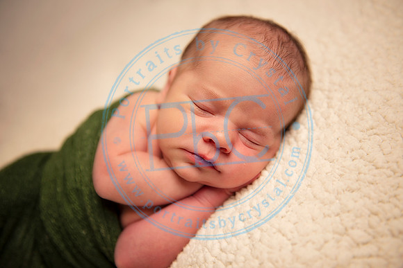 David - Newborn_051719_0271