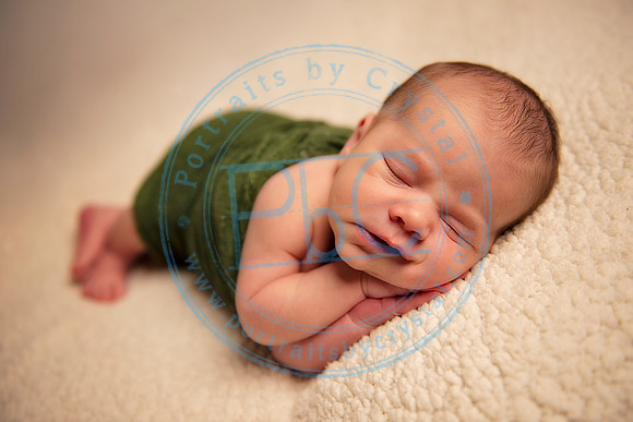 David - Newborn_051719_0280