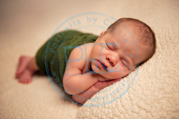 David - Newborn_051719_0286