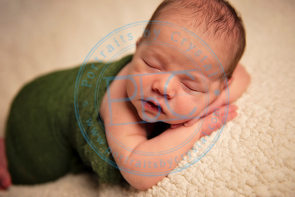 David - Newborn_051719_0294