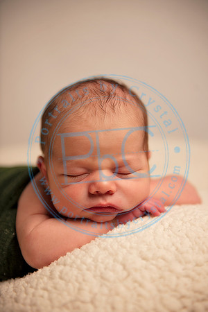 David - Newborn_051719_0299