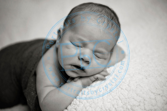 David - Newborn_051719_0302