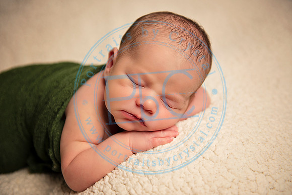 David - Newborn_051719_0306