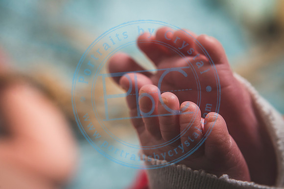 David - Newborn_051719_0441