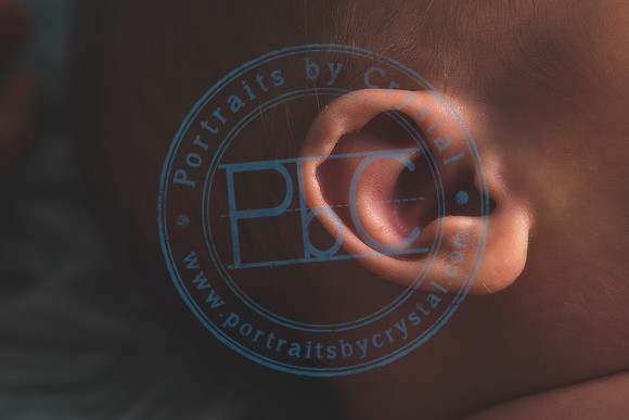 David - Newborn_051719_0447