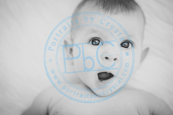 Anelise - 4 months_0096