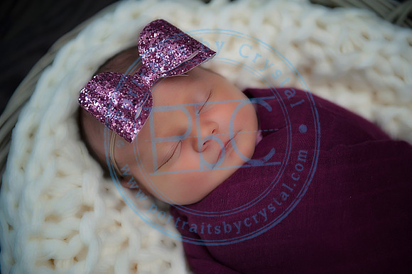 Taylor Moran - Newborn_052019_0020_1
