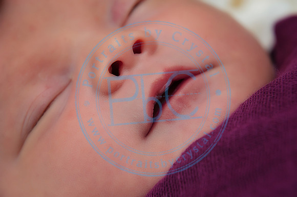 Taylor Moran - Newborn_052019_0032_1