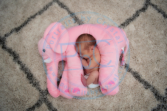 Taylor Moran - Newborn_052019_0160