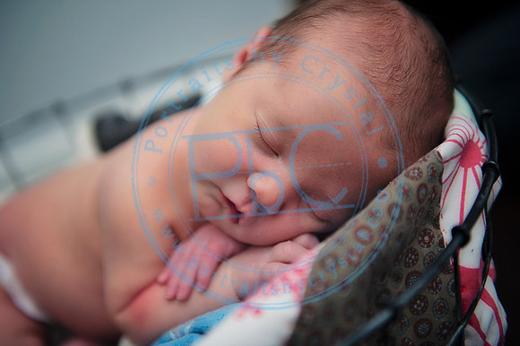 Taylor Moran - Newborn_052019_0187