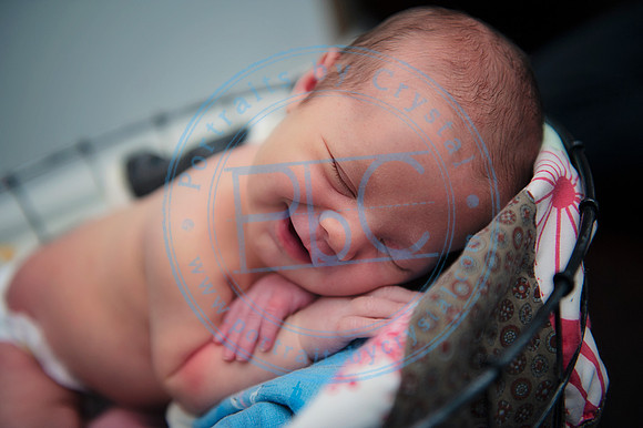 Taylor Moran - Newborn_052019_0190