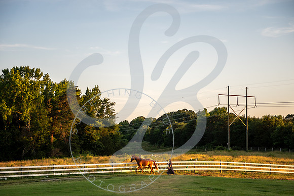 Devon - 2024_061524_0465