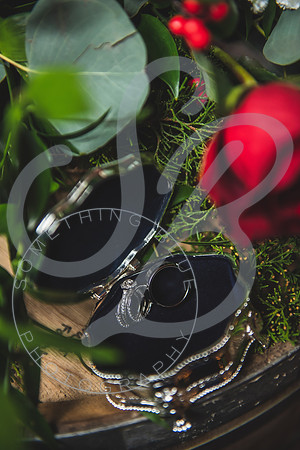 Finch Wedding Slideshow.006
