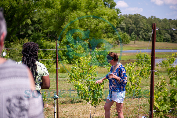 BOWs Tour - 2019_052619_0653
