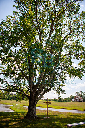 BOWs Tour - 2019_052619_0665