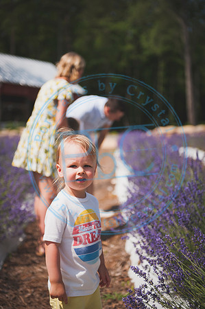 Barnes Family - Spring 2019_052819_0005