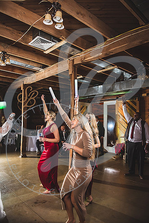 Finch Wedding Slideshow20
