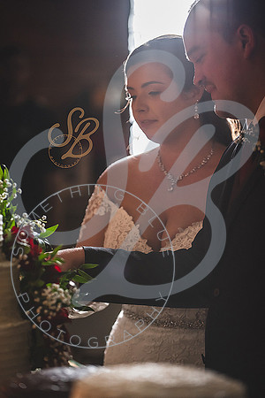 Finch Wedding Slideshow86