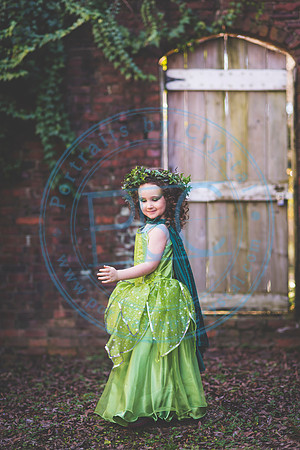 Sarah's 4th Fairy Session_011619_0008