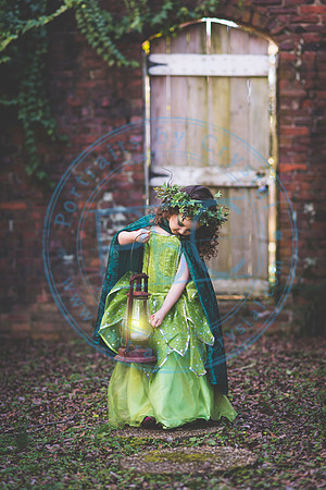 Sarah's 4th Fairy Session_011619_0047