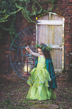 Sarah's 4th Fairy Session_011619_0061