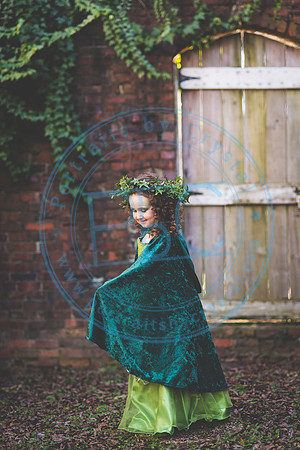 Sarah's 4th Fairy Session_011619_0015