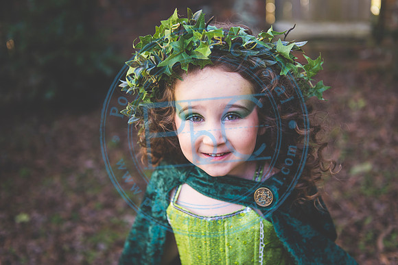 Sarah's 4th Fairy Session_011619_0075