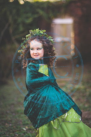 Sarah's 4th Fairy Session_011619_0139