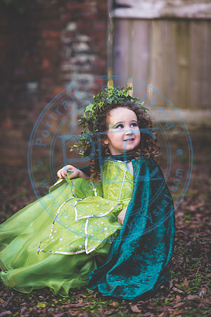 Sarah's 4th Fairy Session_011619_0168