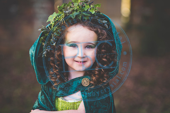 Sarah's 4th Fairy Session_011619_0169