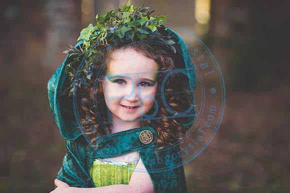 Sarah's 4th Fairy Session_011619_0174