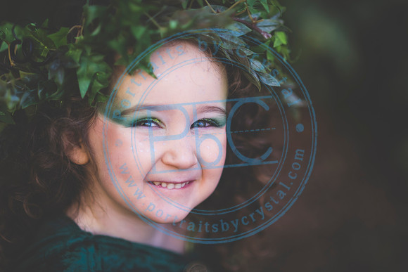 Sarah's 4th Fairy Session_011619_0273