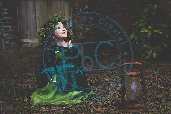 Sarah's 4th Fairy Session_011619_0280