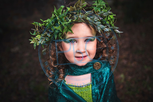 Sarah's 4th Fairy Session_011619_0296