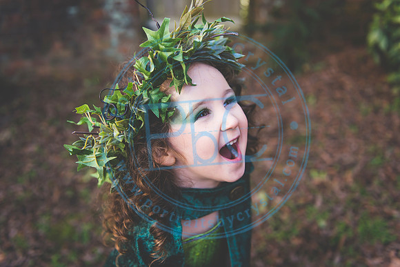 Sarah's 4th Fairy Session_011619_0301