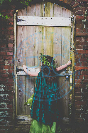 Sarah's 4th Fairy Session_011619_0324