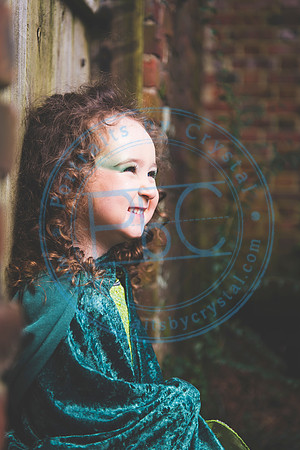 Sarah's 4th Fairy Session_011619_0346
