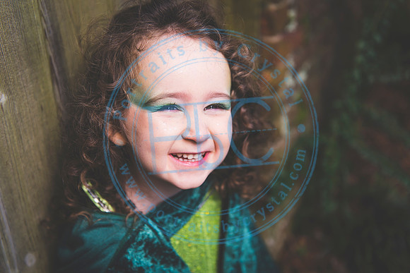 Sarah's 4th Fairy Session_011619_0377