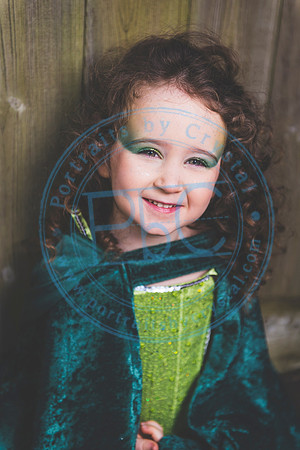Sarah's 4th Fairy Session_011619_0396