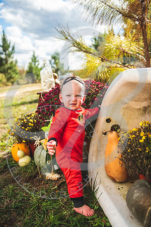 Hallowee Minis - 2021_103121_0114