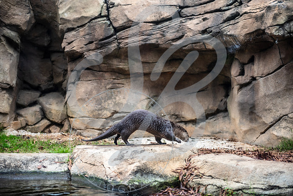 Zoo Trip 2023_122823_1056