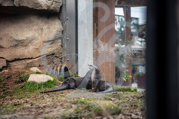 Zoo Trip 2023_122823_1059