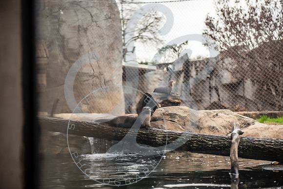 Zoo Trip 2023_122823_1074