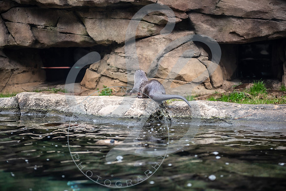Zoo Trip 2023_122823_1068