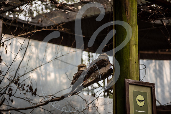 Zoo Trip 2023_122823_1090