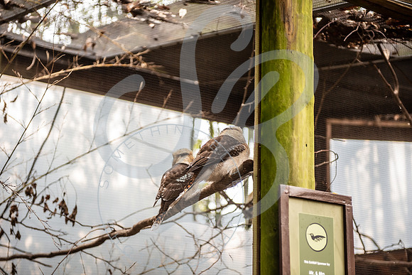 Zoo Trip 2023_122823_1091